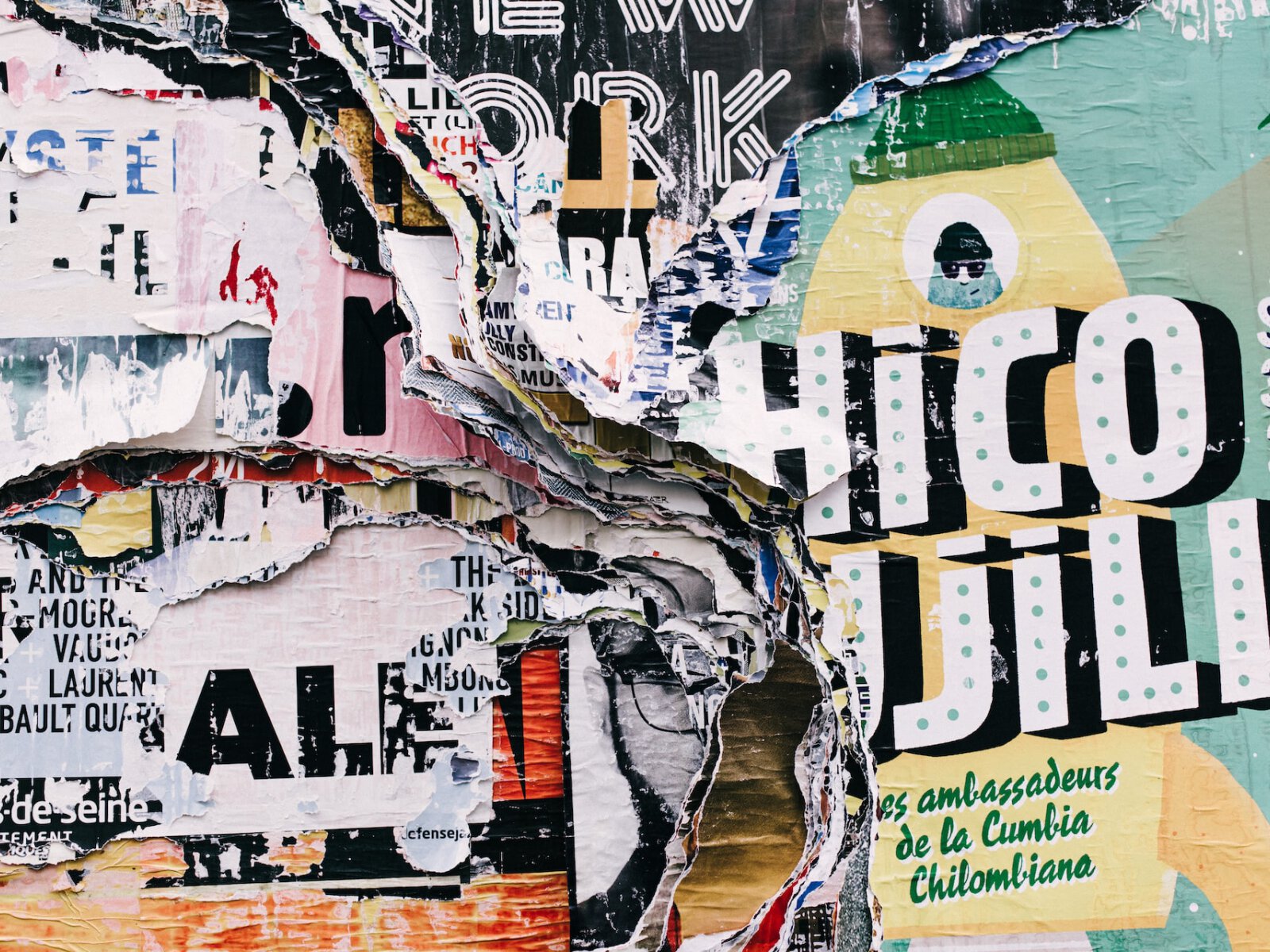 Alice-donovan-rouse-yu68fuqdvoi-unsplash